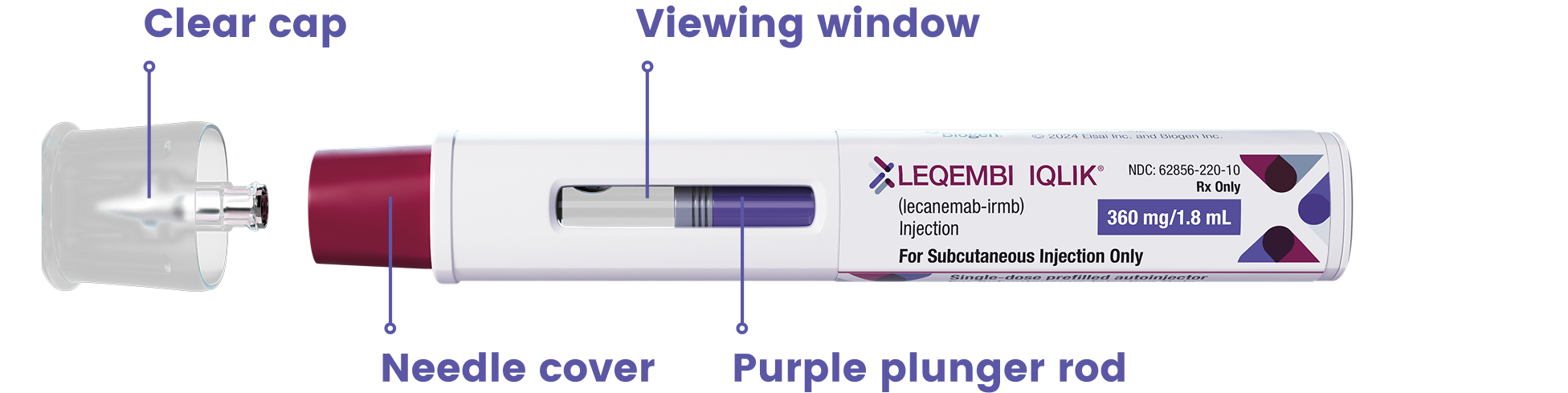 Get familiar with the LEQEMBI® IQLIK® autoinjector (maintenance dose)–Clear cap, viewing window, needle cover, plunger rod