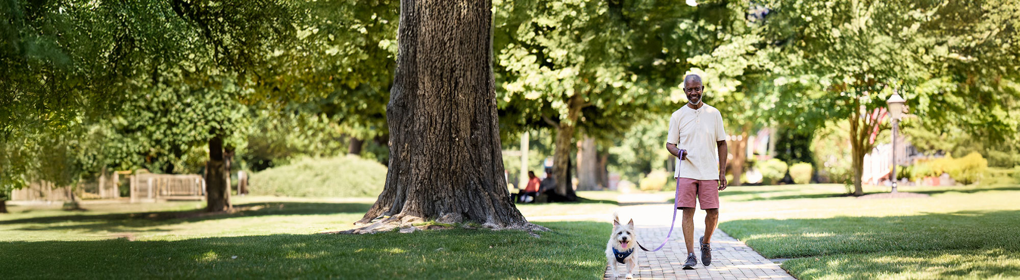 Bob and his dog on a walk