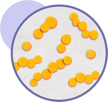 Harmful amyloid proteins and brain plaque icon